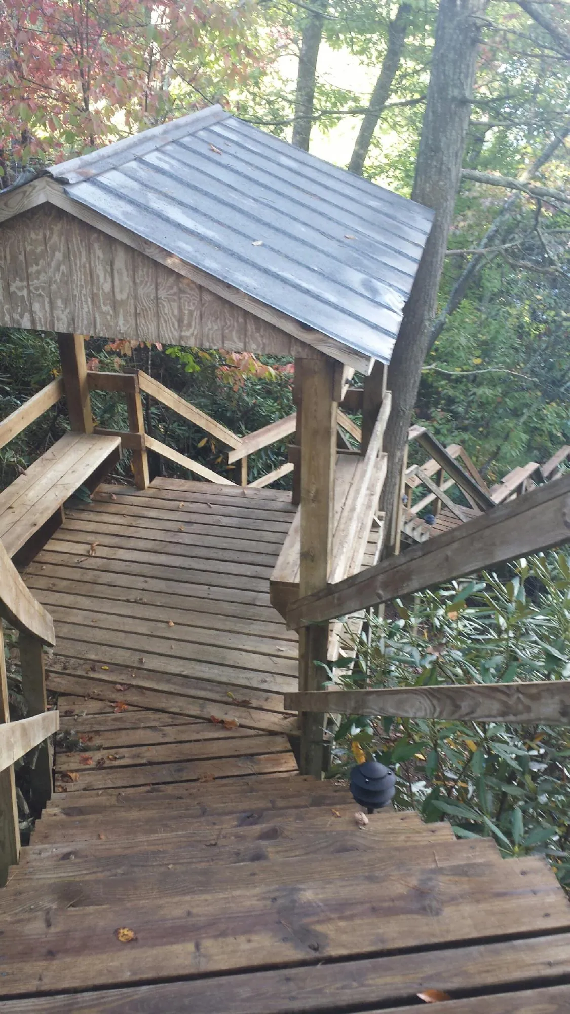 Metal roofed shelter over wooden steps on a wooded walkway — Skylight Repair & Installation work by our crew in Yamhill